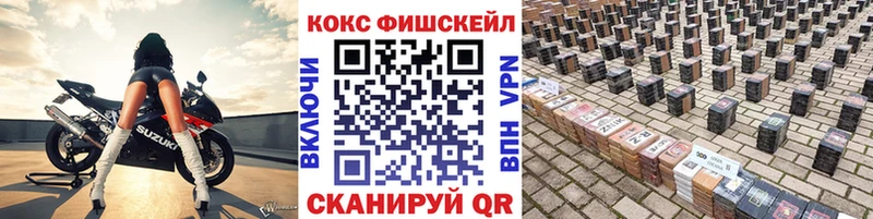 COCAIN Эквадор  как найти закладки  Судогда 