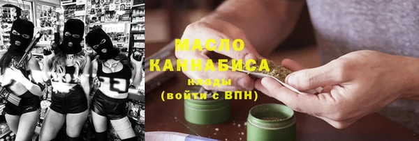 молекула духа Снежногорск