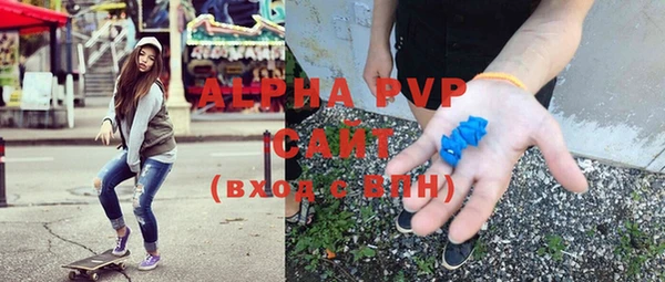 молекула духа Снежногорск