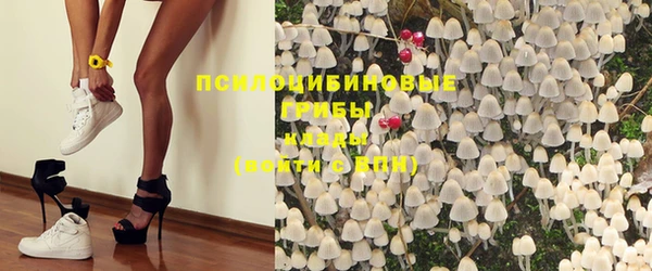 spice Снежинск
