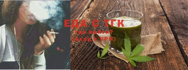 молекула духа Снежногорск