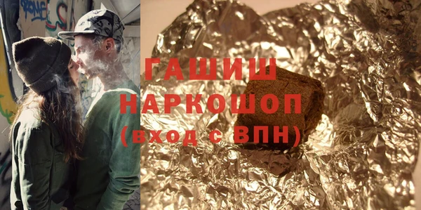 молекула духа Снежногорск