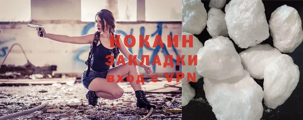 молекула духа Снежногорск