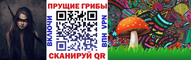 Галлюциногенные грибы ЛСД Судогда